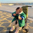 플러스 원 카클리닉 | 에이블 유모카 플러스 그린 트라이크 휴대용유모차 올리브 색상 넵다세일