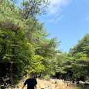 쌍곡폭포펜션 이미지