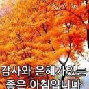 가평파크골프장 이미지