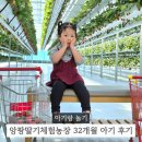 대한농장 | 아기랑 서울 인천 근교 딸기체험 후기 김포 앙팡딸기체험농장