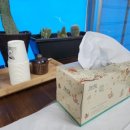 성화반점 이미지