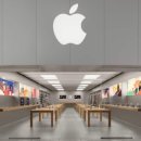 호텔펄리 이미지