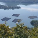 진리태양광발전소 이미지