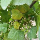 우림농원 이미지