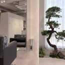 비그로브 비 이미지