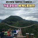 [생태체험] 대저생태공원 - 5월 26일(일) 오후 | 포천 가을 꽃축제 세계드론제전 한탄강 생태경관단지 Y자출렁다리 주차 꿀팁