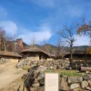 억새마을 | 대구 칠곡 팔공산 가볼 만한 곳>한티가는길 억새마을 "한티순교성지" 방문후기