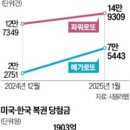 돈벼락유통