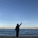 몽스김밥 이미지