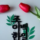 핼민이작업실