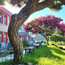 유등초등학교 이미지