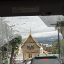 수주고등학교 | 치앙마이 여행(2) 비오는 날 코끼리 보호소 가기