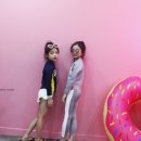 래쉬라인