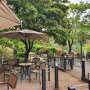 목동초마 이미지