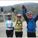 낭만자전거 이미지