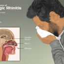 대세당한의원 이미지