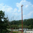 진또배기 이미지