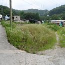 고성리-8 네이버블로그