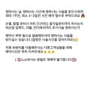 위딩코리아