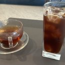 용인나무이야기