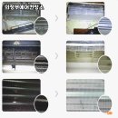 더 프로크린 이미지