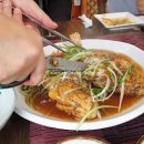 오라숲소리 이미지