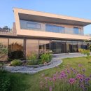 구찌네집 이미지