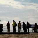 노고단-11 이미지