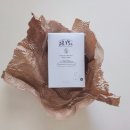 바디브이에스바디 이미지