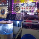 바다속사랑방 | 모란역 바다속사랑방 (성남동해물탕 모란횟집)