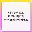 트레블엑세스 | [2026년 최신] 대기 시간 0분! 도쿄 디즈니랜드 프리미어 엑세스 구매 방법 및 미녀와 야수 생생 후기