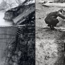 바이온트 이미지