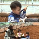 태오농장 이미지