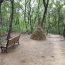 대구 천을산 (수성구) 이미지