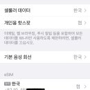 esim 에 대한 질문 이미지