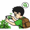 모야모 | 식물, 꽃 이름 찾기 앱 추천(모야모) 및 사용법 정리
