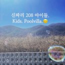 신파리208아이들