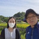 송희랑 오어사, 양동마을 이미지