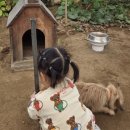 리안농장 이미지