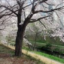 서호우체국 이미지