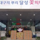 다은환경 티스토리