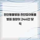 천안동물병원 천안모아동물병원 원장이 24시간 당직