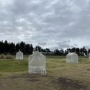 한림목장 이미지