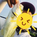 진도관광모텔 이미지