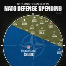 NATO 국방비 지출 1.3조 달러 절감 이미지