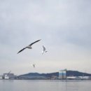 해운대약국 이미지