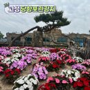 고성정비 | 경남 고성 공룡엑스포 당항포관광지 입장료, 미리 방문 풍경