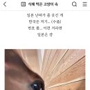 한국인들 일본 여행 난파썰 개웃기네 이미지