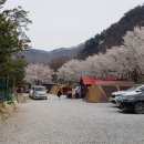 엉클캠프 이미지