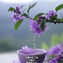 기분좋은하루 이미지